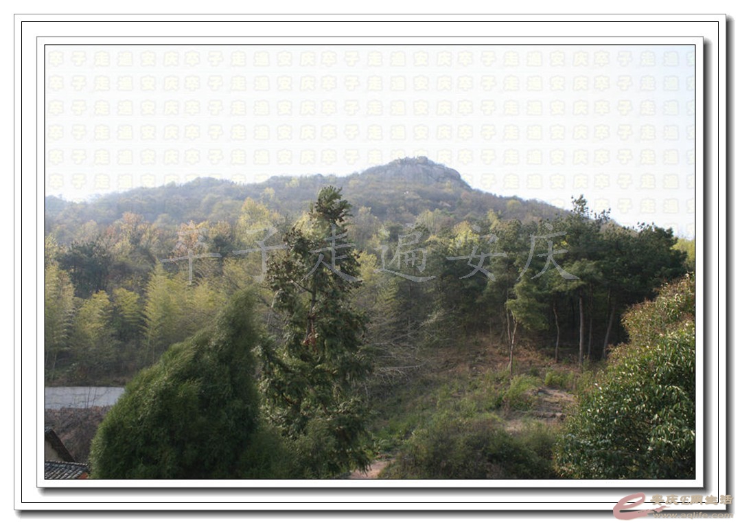20150328 251.jpg