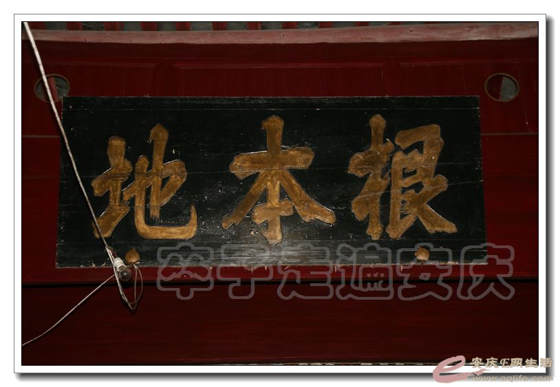 201501001 359.jpg