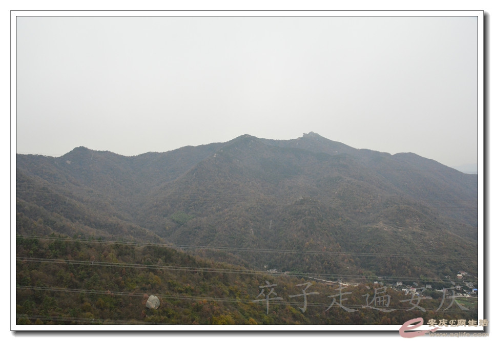 20151205 096.jpg