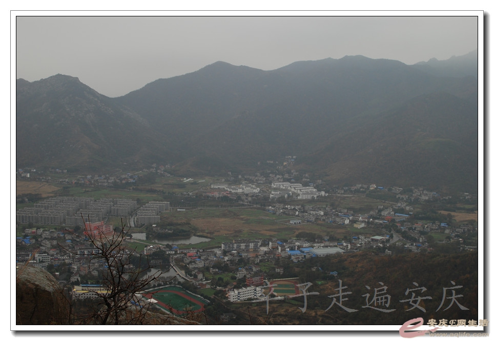 DSC_1964.jpg