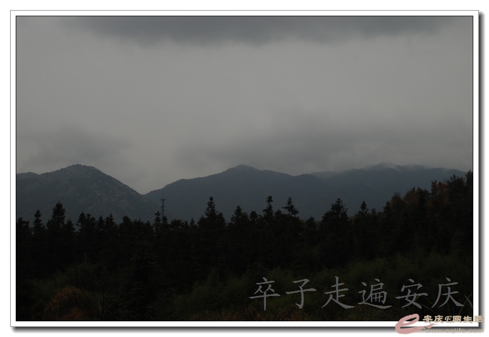 DSC_1984.jpg