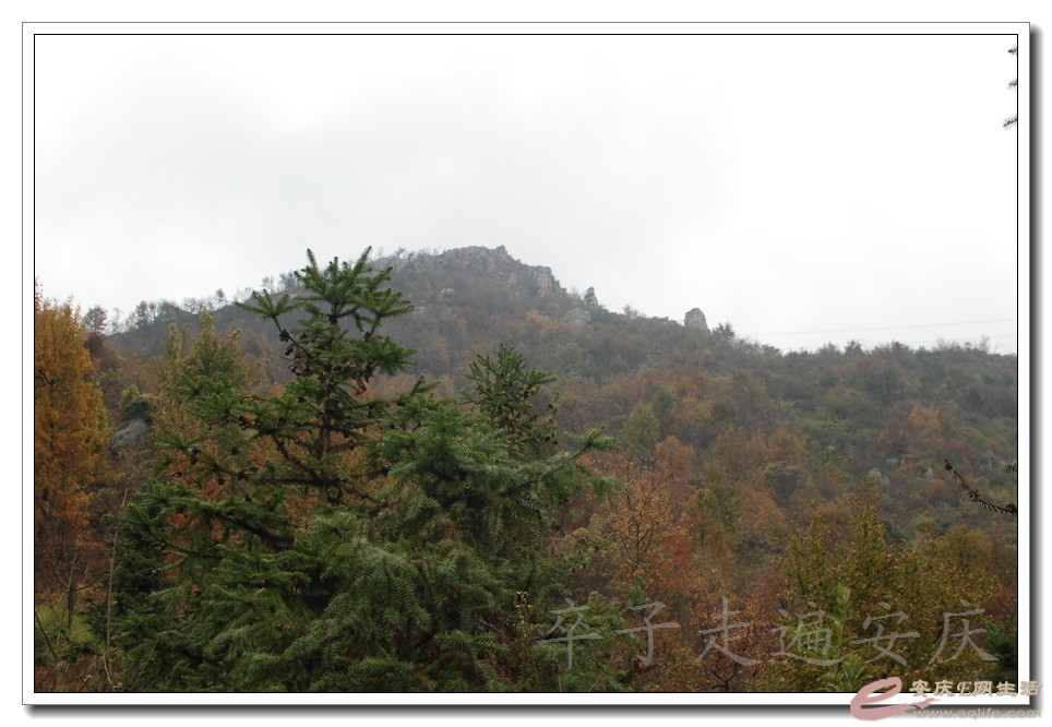 DSC_1986.jpg