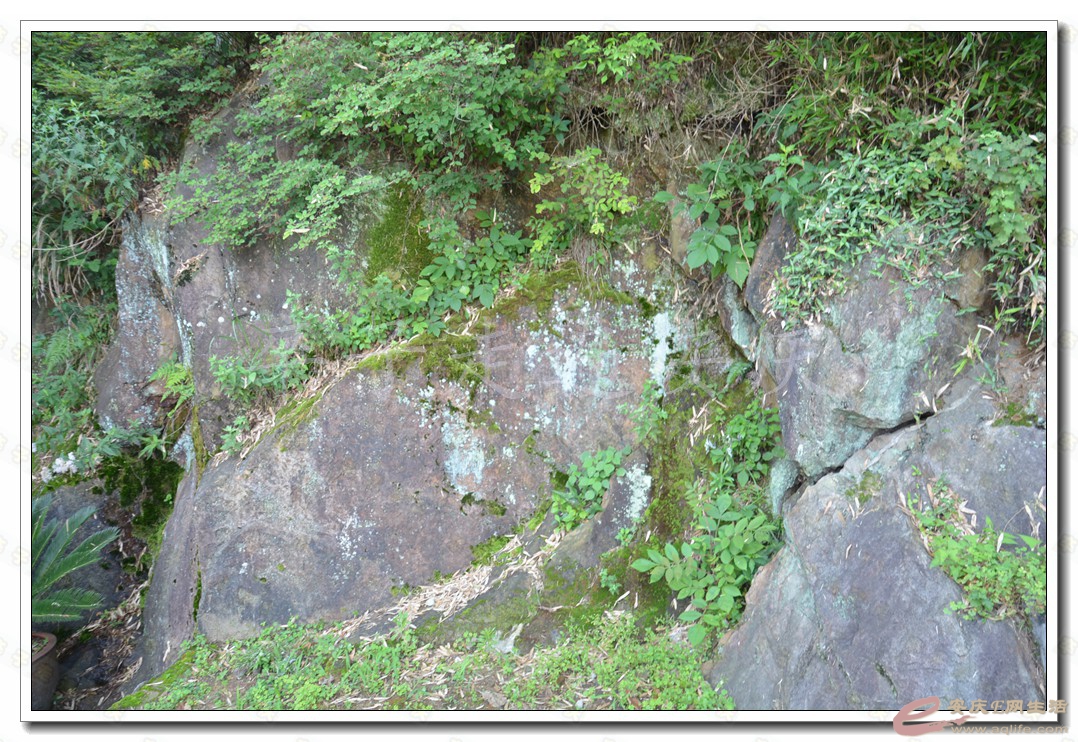 20160610 238.jpg