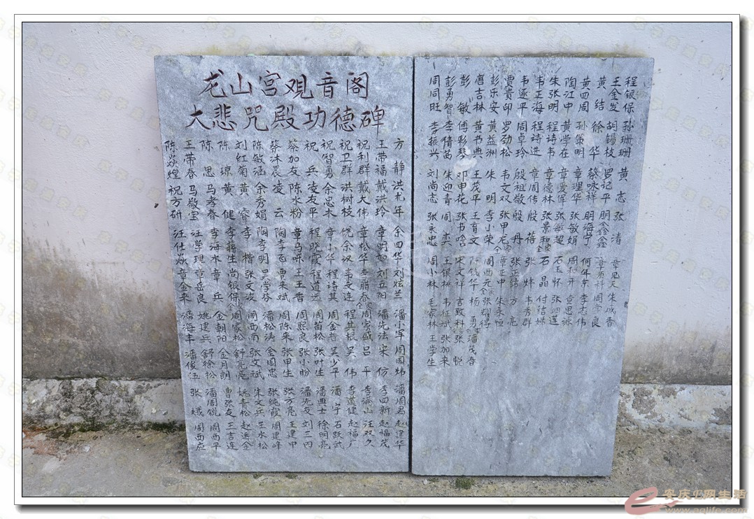20160610 241.jpg