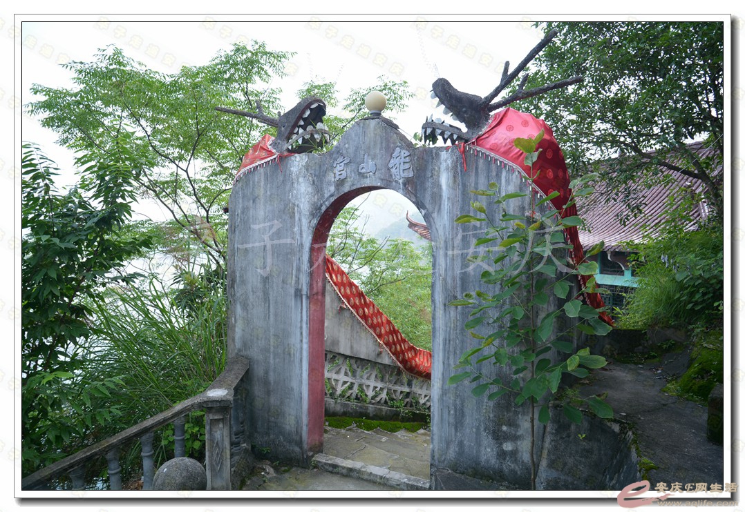 20160610 243.jpg