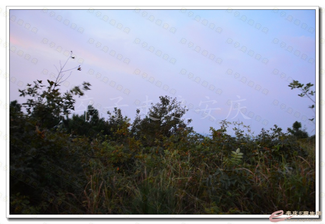 20171002 009.jpg