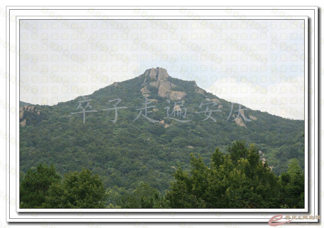 111.jpg