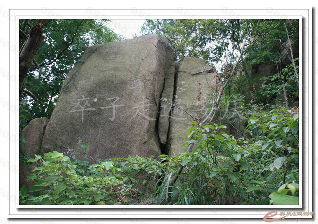 133.jpg