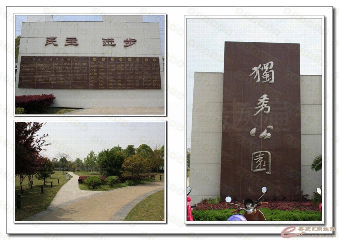 135-1.jpg