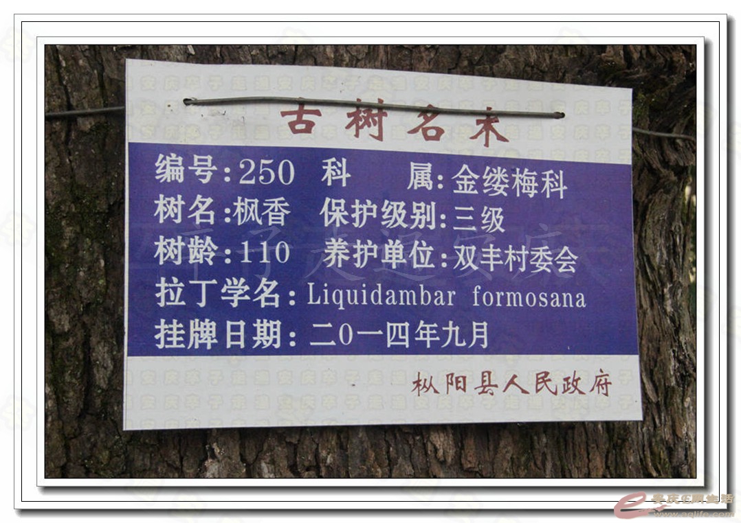 02-1.jpg