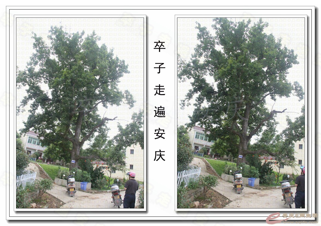 04.jpg