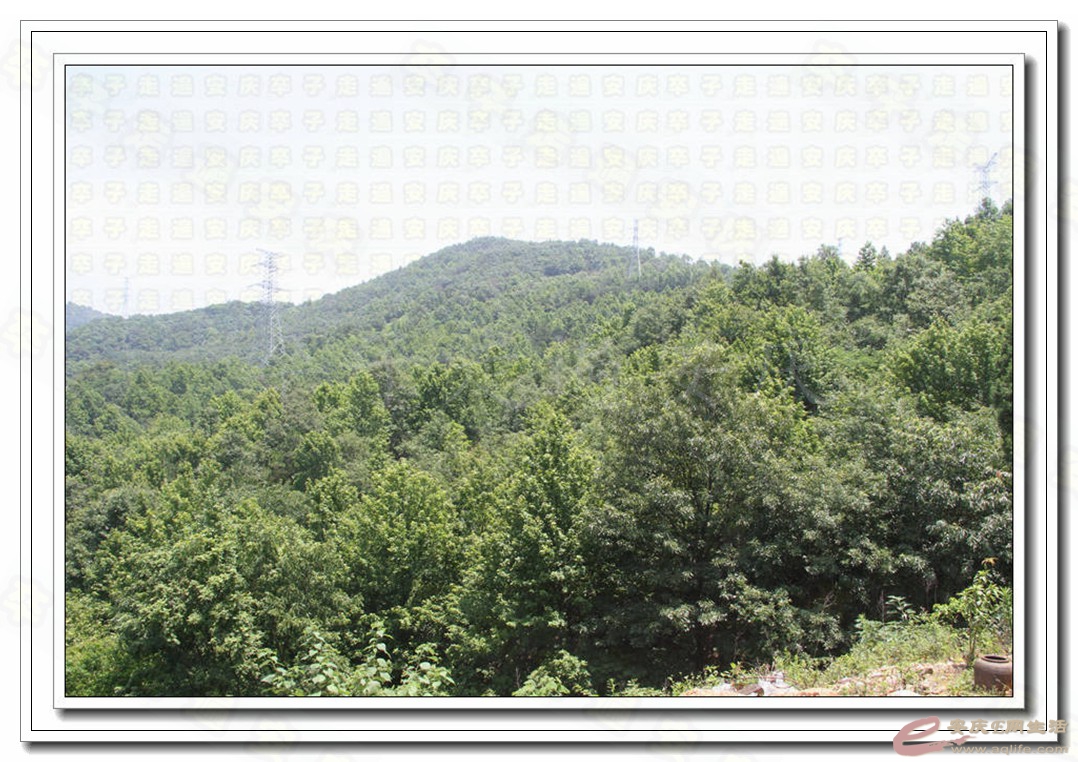 06.jpg