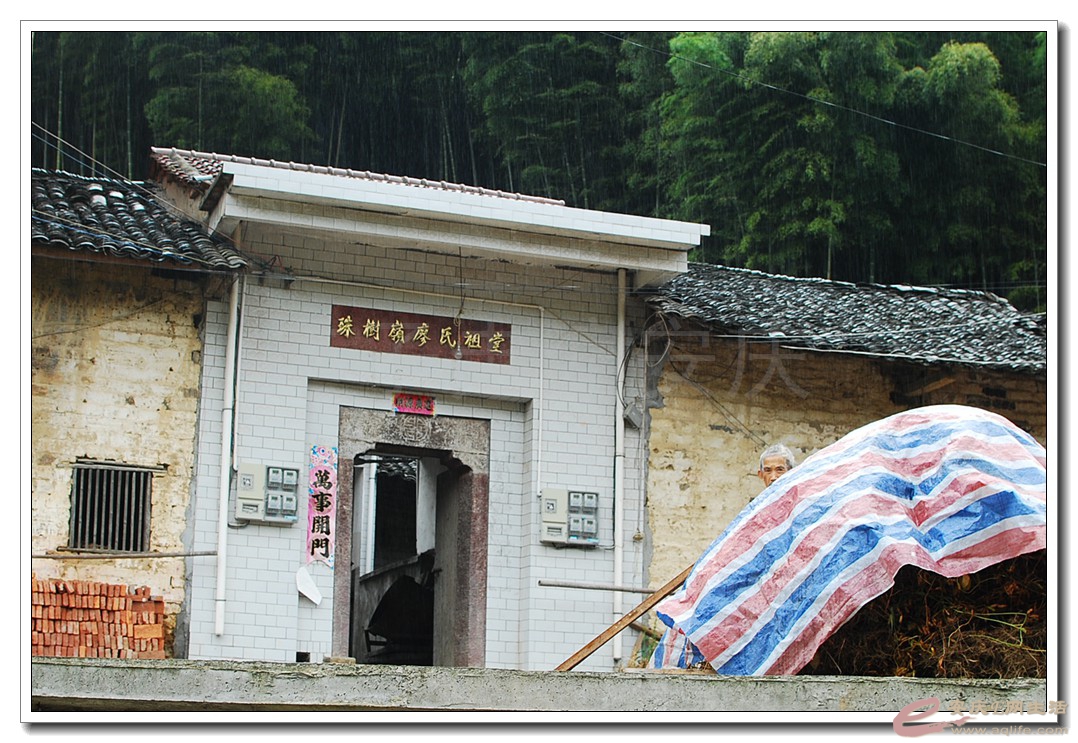 04.jpg