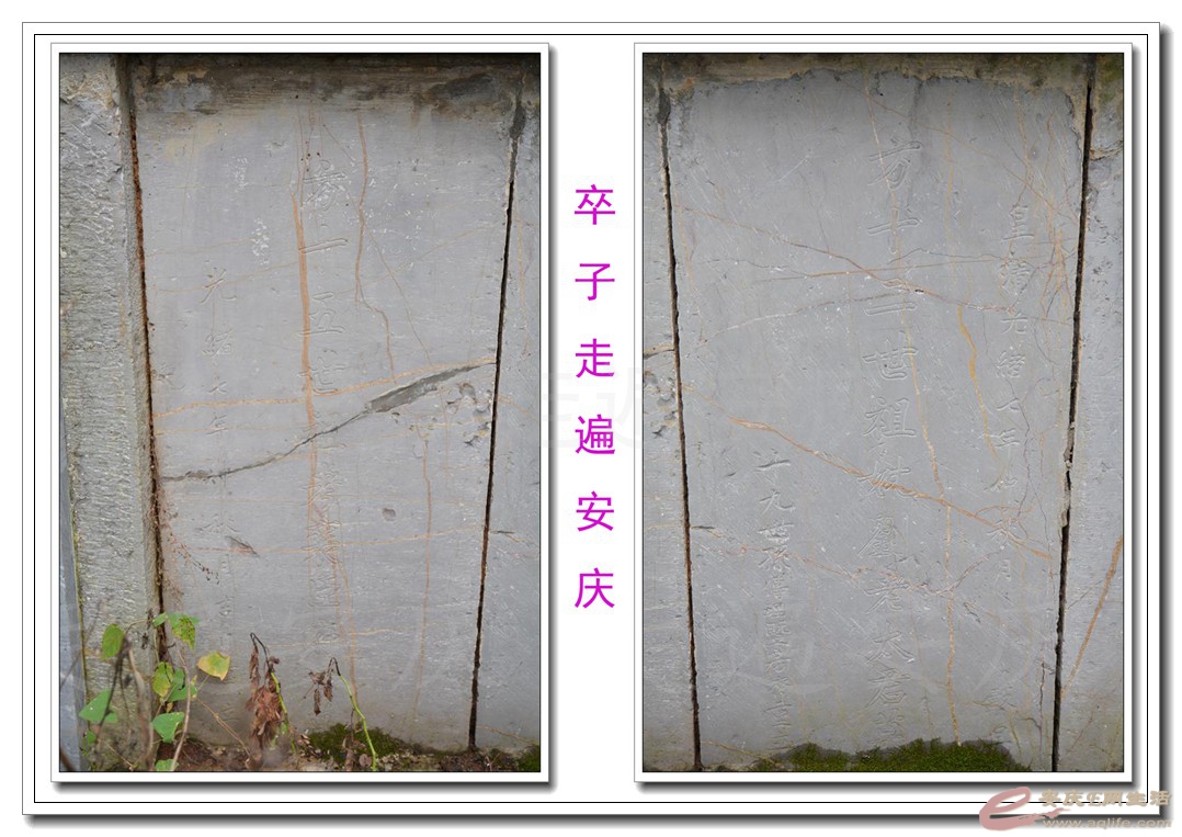 20160529 071.jpg