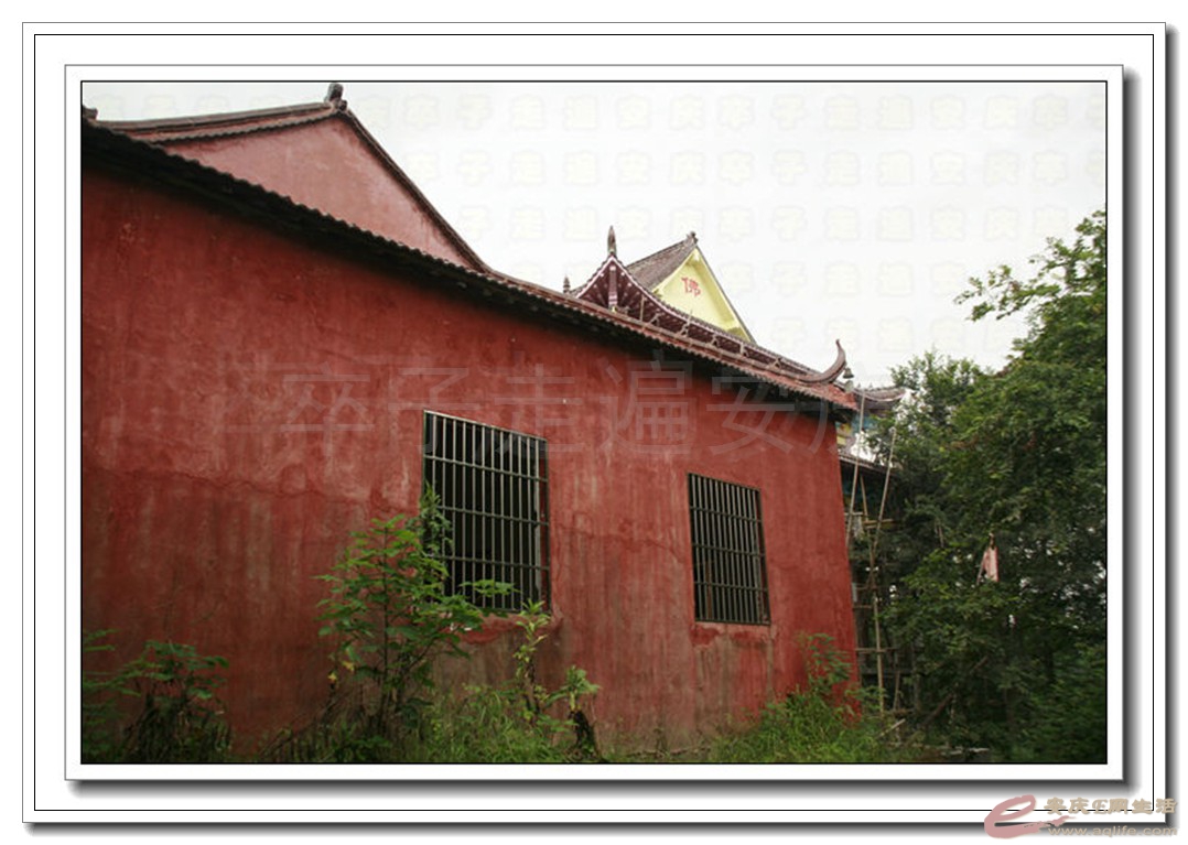 07.jpg