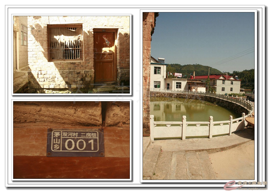 05.jpg