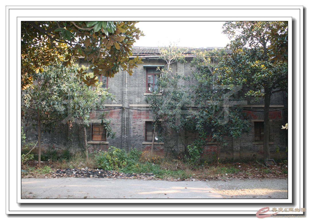07.jpg