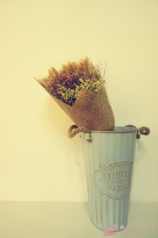 DSC02600_.jpg