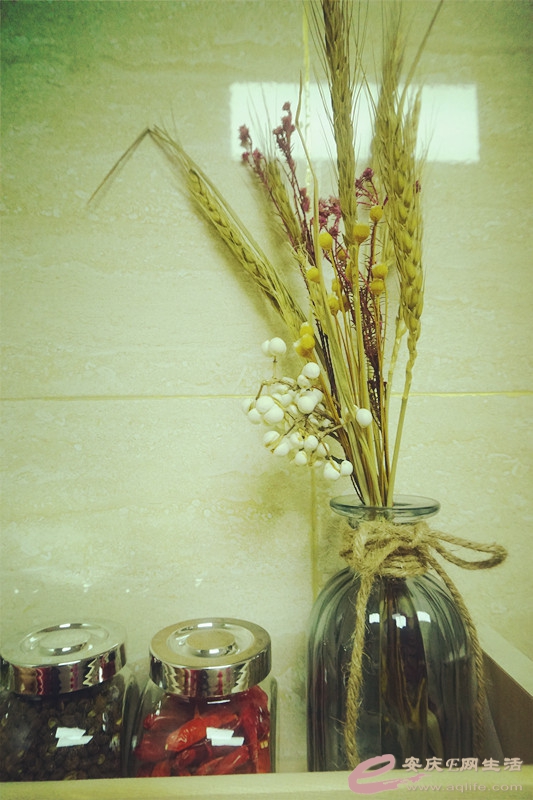 DSC02553_.jpg
