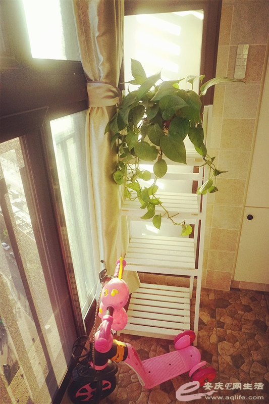 DSC02524_.jpg