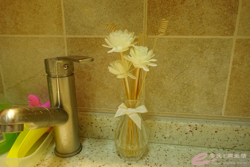 DSC02547_.jpg