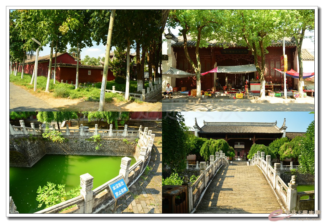 05.jpg