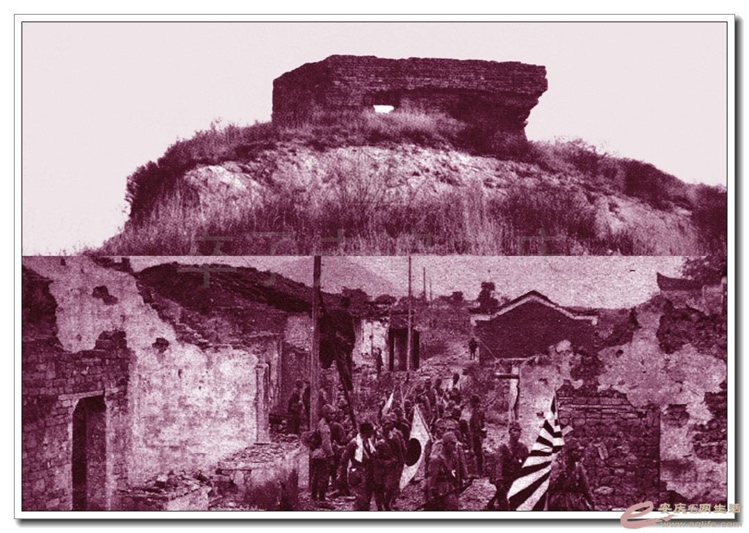 05.jpg