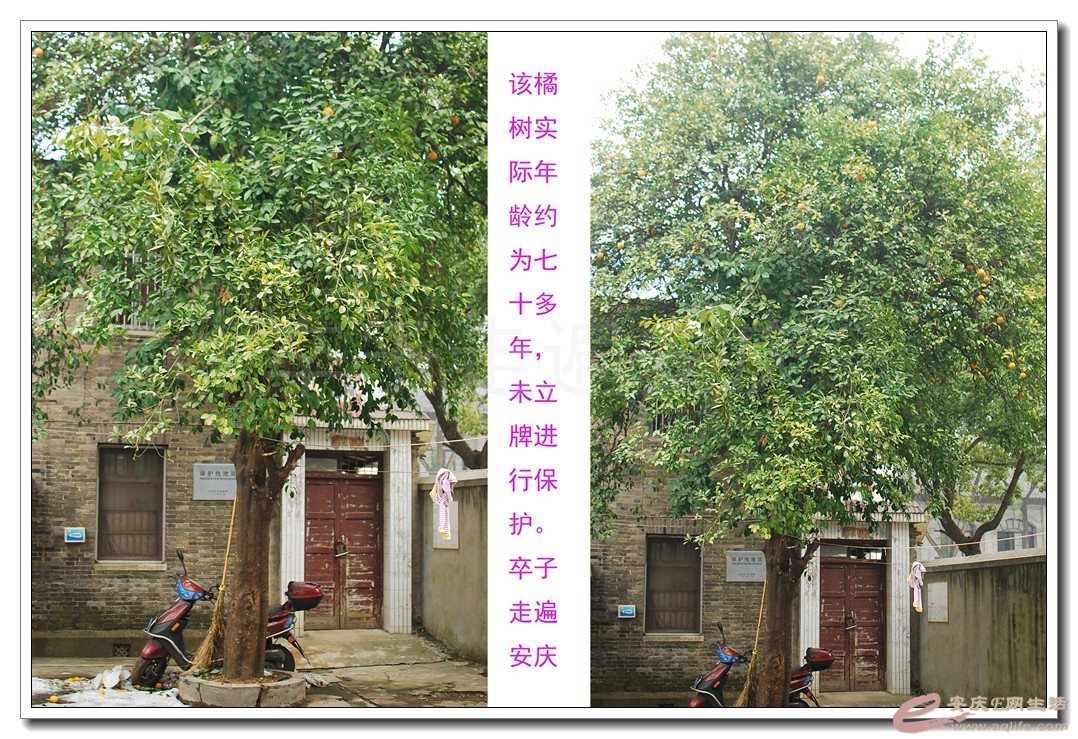 125.jpg