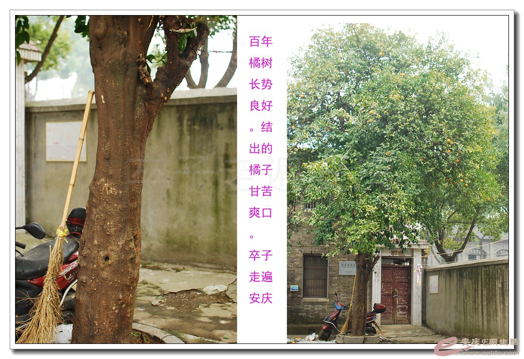 135.jpg