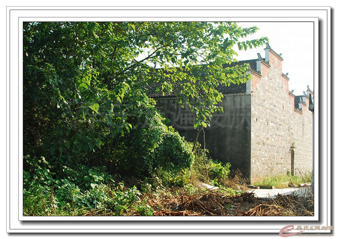 03.jpg