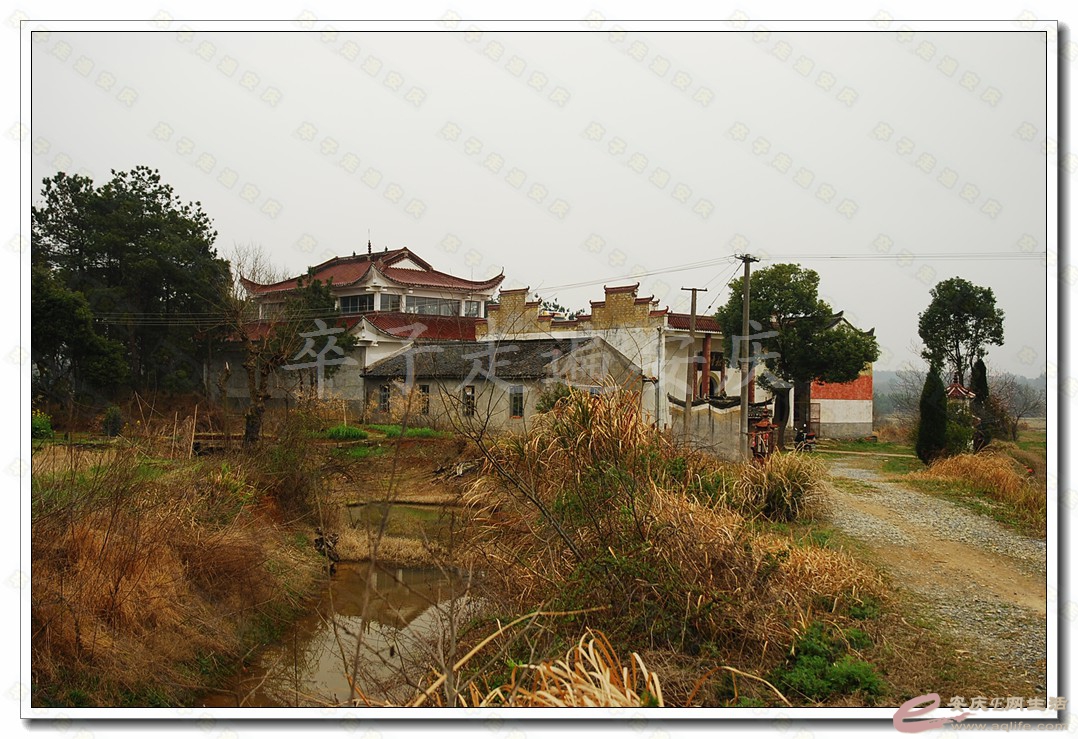 140-1.jpg