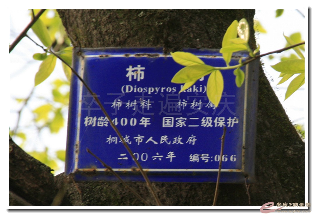 05.jpg