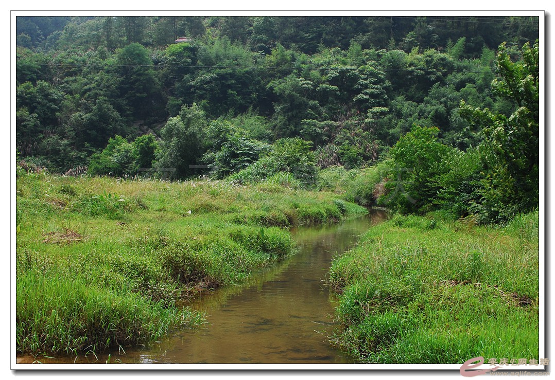 03.jpg