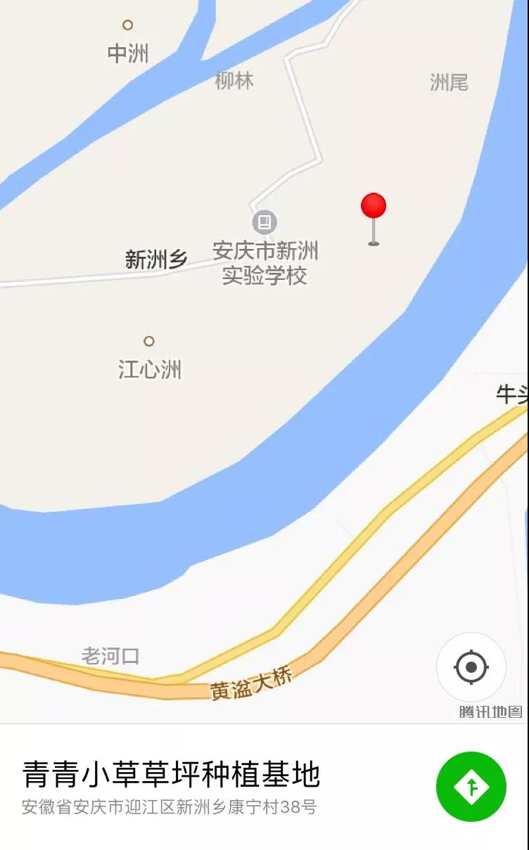 17.jpg