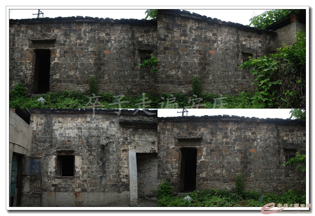 175-1.jpg