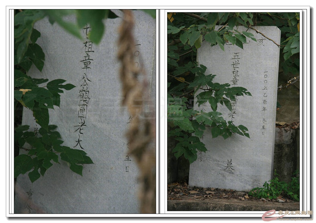 07.jpg