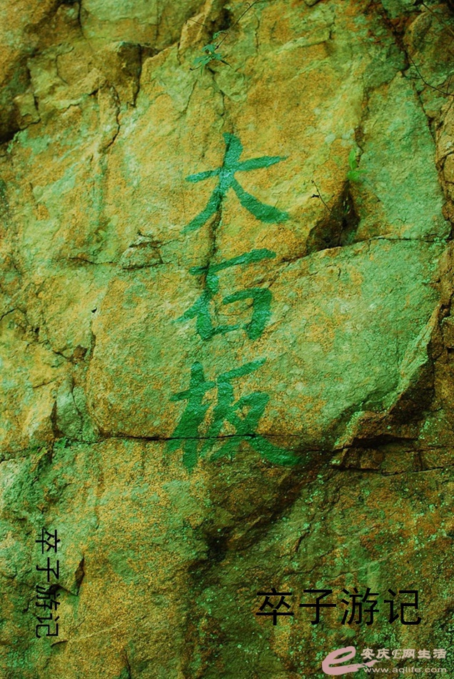 02.jpg