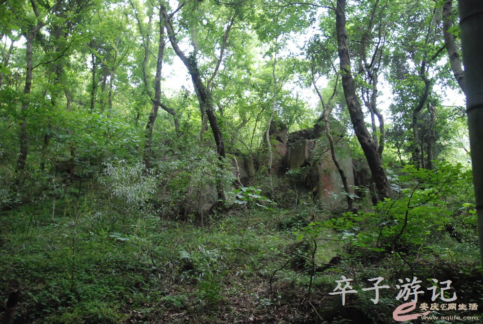 DSC_4001.jpg