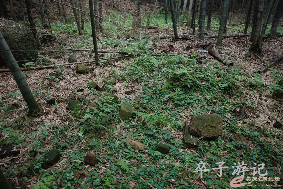 DSC_4002.jpg
