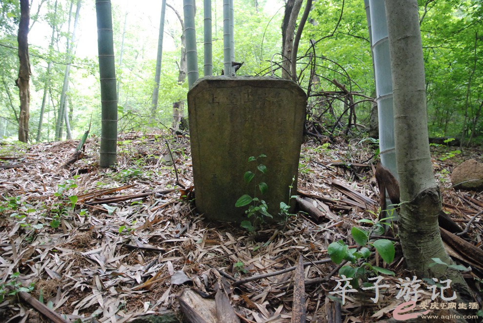 DSC_4016.jpg