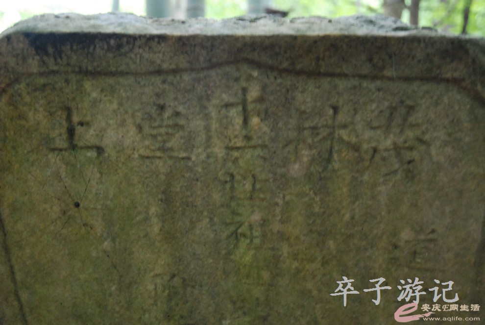 DSC_4017.jpg