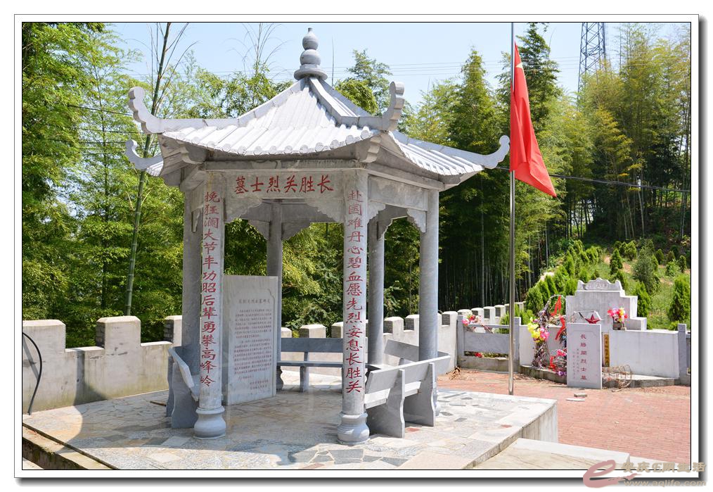 20160514 079.jpg