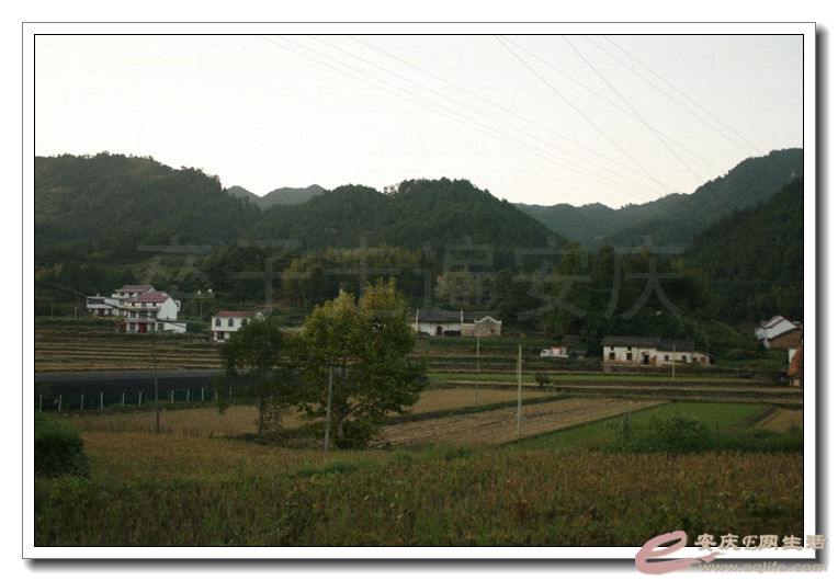 2014100106 959.jpg
