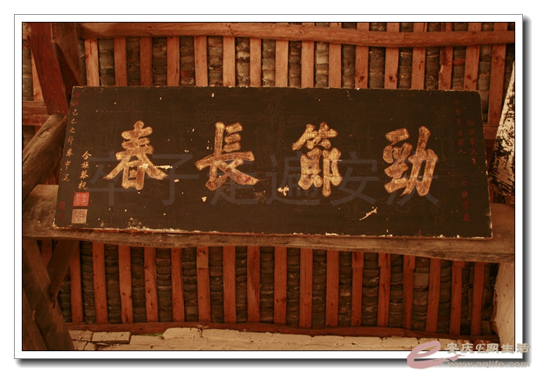 2014100106 1039.jpg