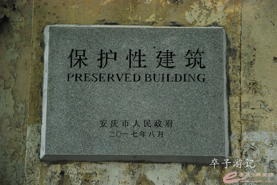 103.jpg