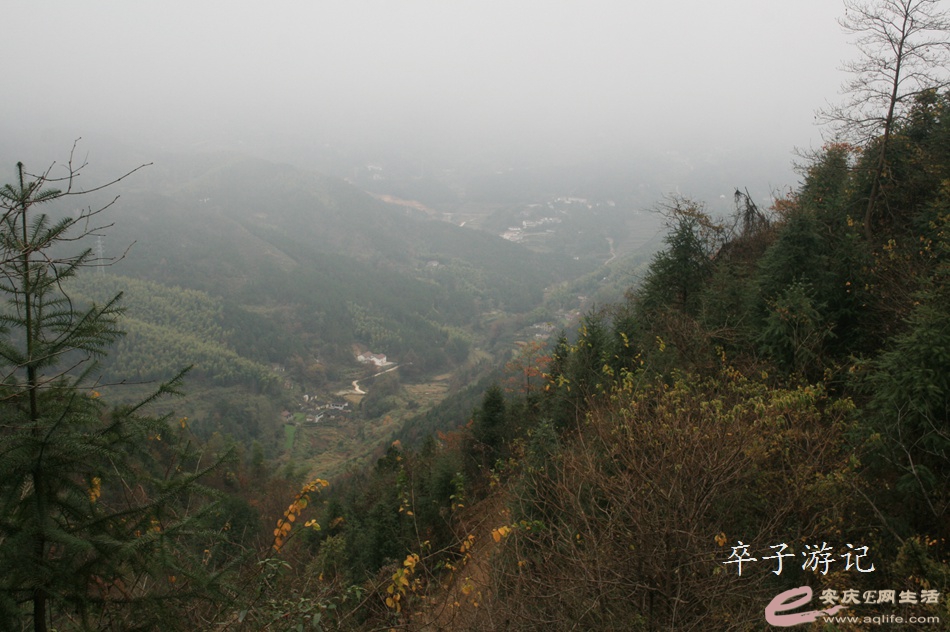 05.jpg