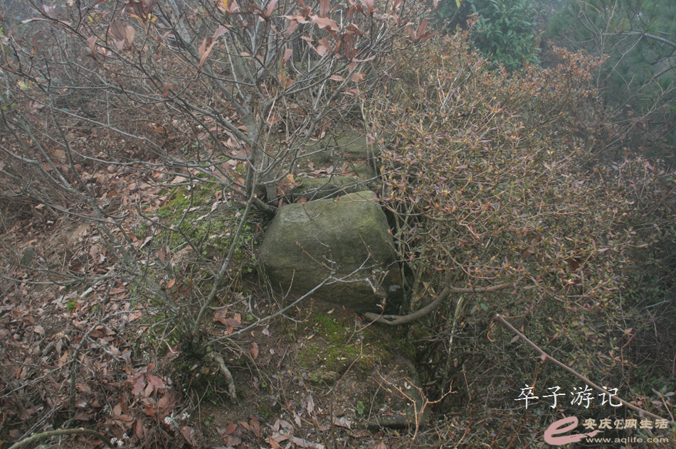 06.jpg