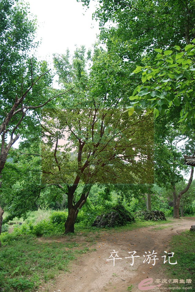 01.jpg