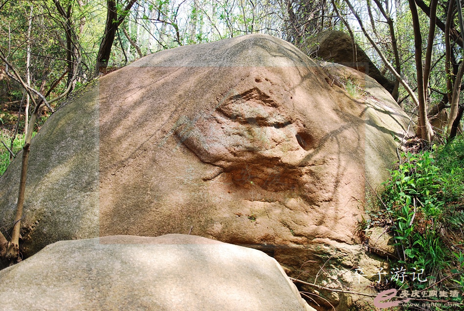 165.jpg