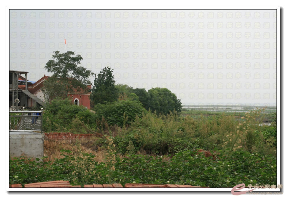 20150815 021.jpg